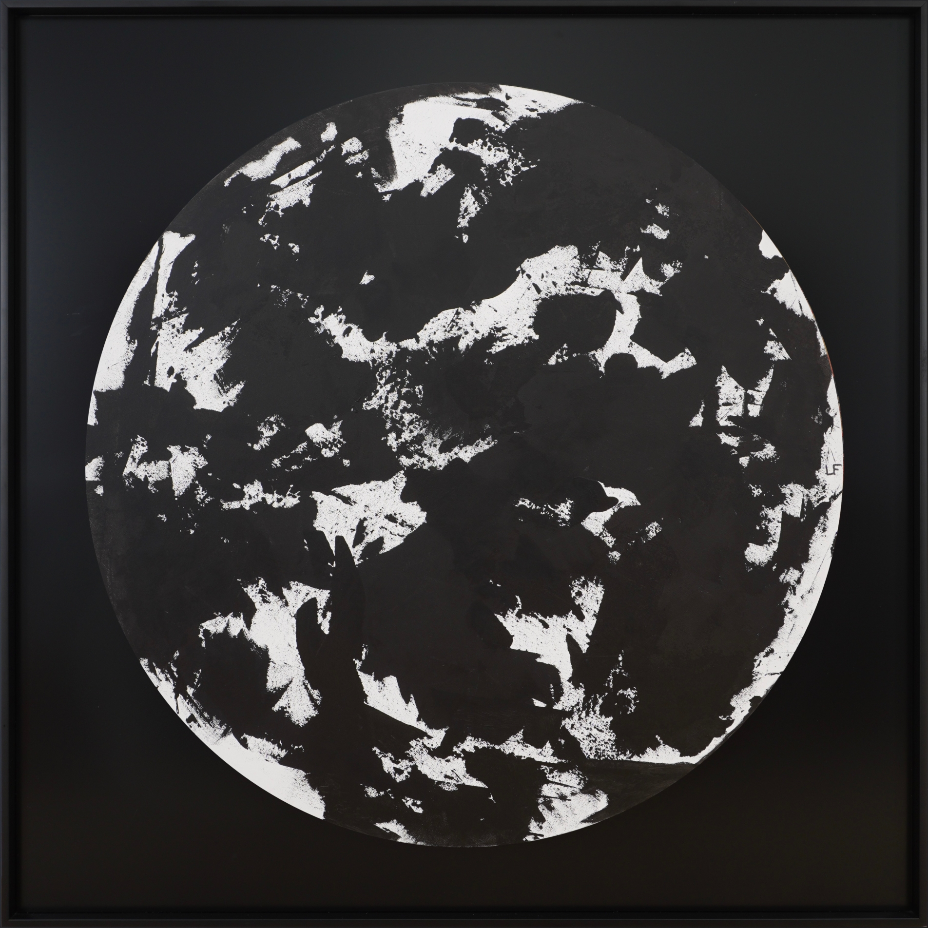 Fleur de minuit 2