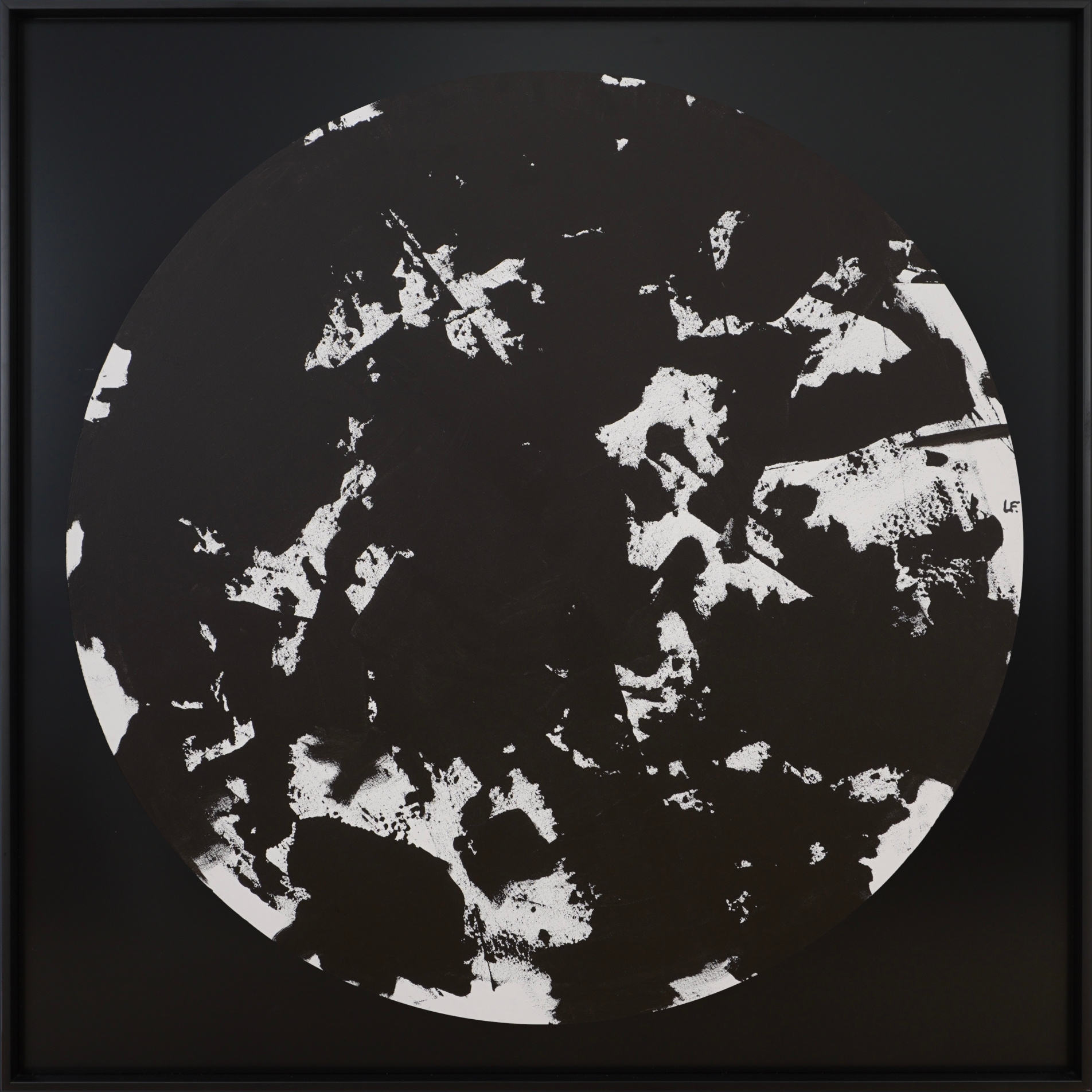 Fleur de minuit 1