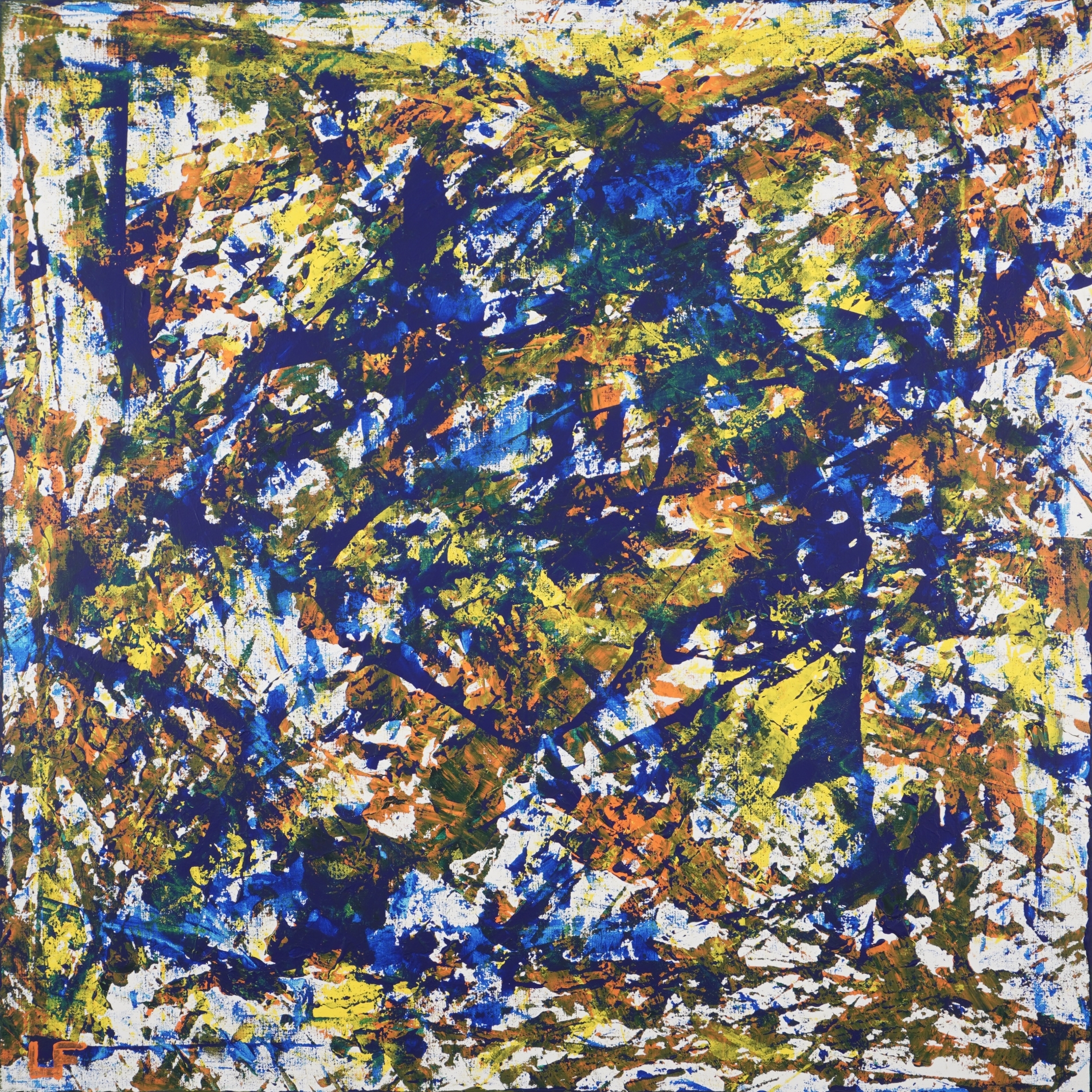 Entrer dans la forêt dense 1