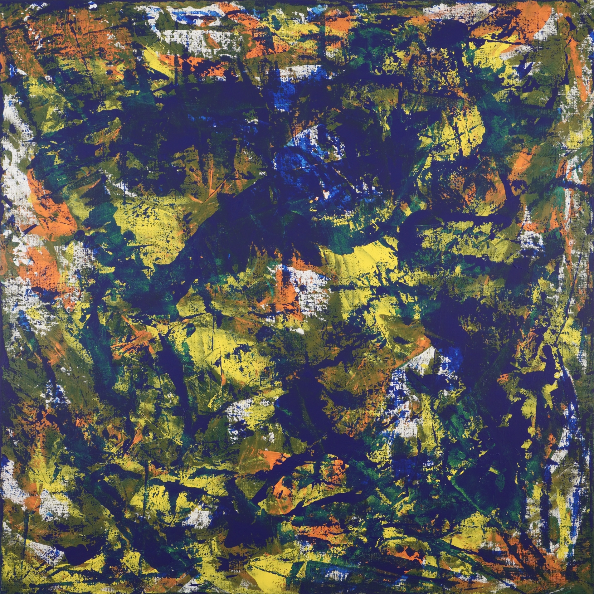 Entrer dans la forêt dense 2